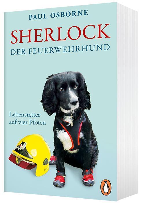 Bild: 9783328104179 | Sherlock, der Feuerwehrhund | Lebensretter auf vier Pfoten | Osborne