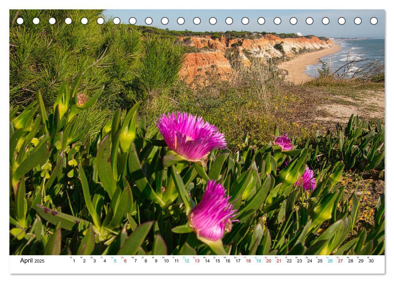 Bild: 9783435091508 | Die Algarve (Tischkalender 2025 DIN A5 quer), CALVENDO Monatskalender