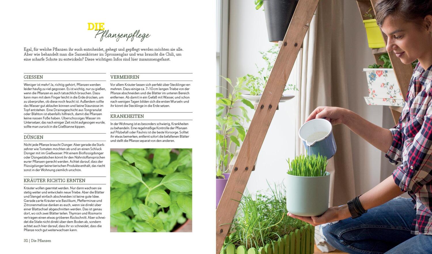 Bild: 9783863555085 | Indoor Gardening | Silvia Appel | Buch | 96 S. | Deutsch | 2016