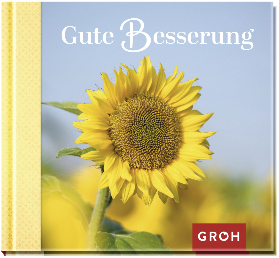 Cover: 9783848523047 | Gute Besserung | Groh Verlag | Buch | 48 S. | Deutsch | 2018