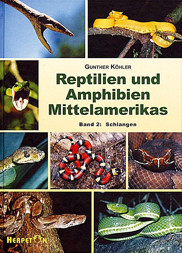 Cover: 9783980621458 | Reptilien und Amphibien Mittelamerikas. (Bd. 2) | Schlangen | Köhler