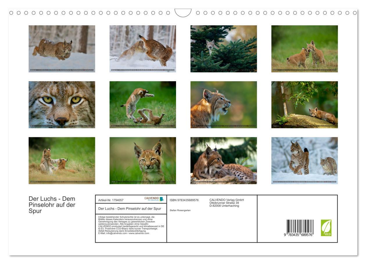 Bild: 9783435689576 | Der Luchs - Dem Pinselohr auf der Spur (Wandkalender 2025 DIN A3...