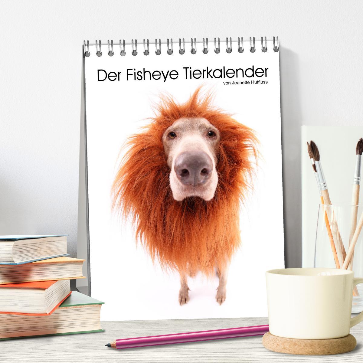 Bild: 9783435995196 | Der Fisheye Tiere Kalender (Tischkalender 2025 DIN A5 hoch),...