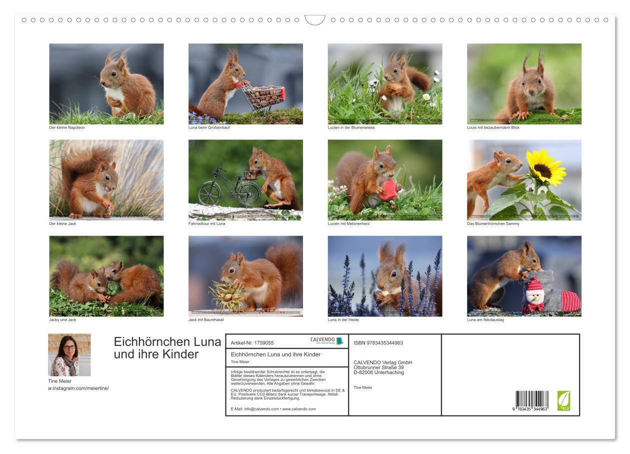 Bild: 9783435344963 | Eichhörnchen Luna und ihre Kinder (Wandkalender 2025 DIN A2 quer),...