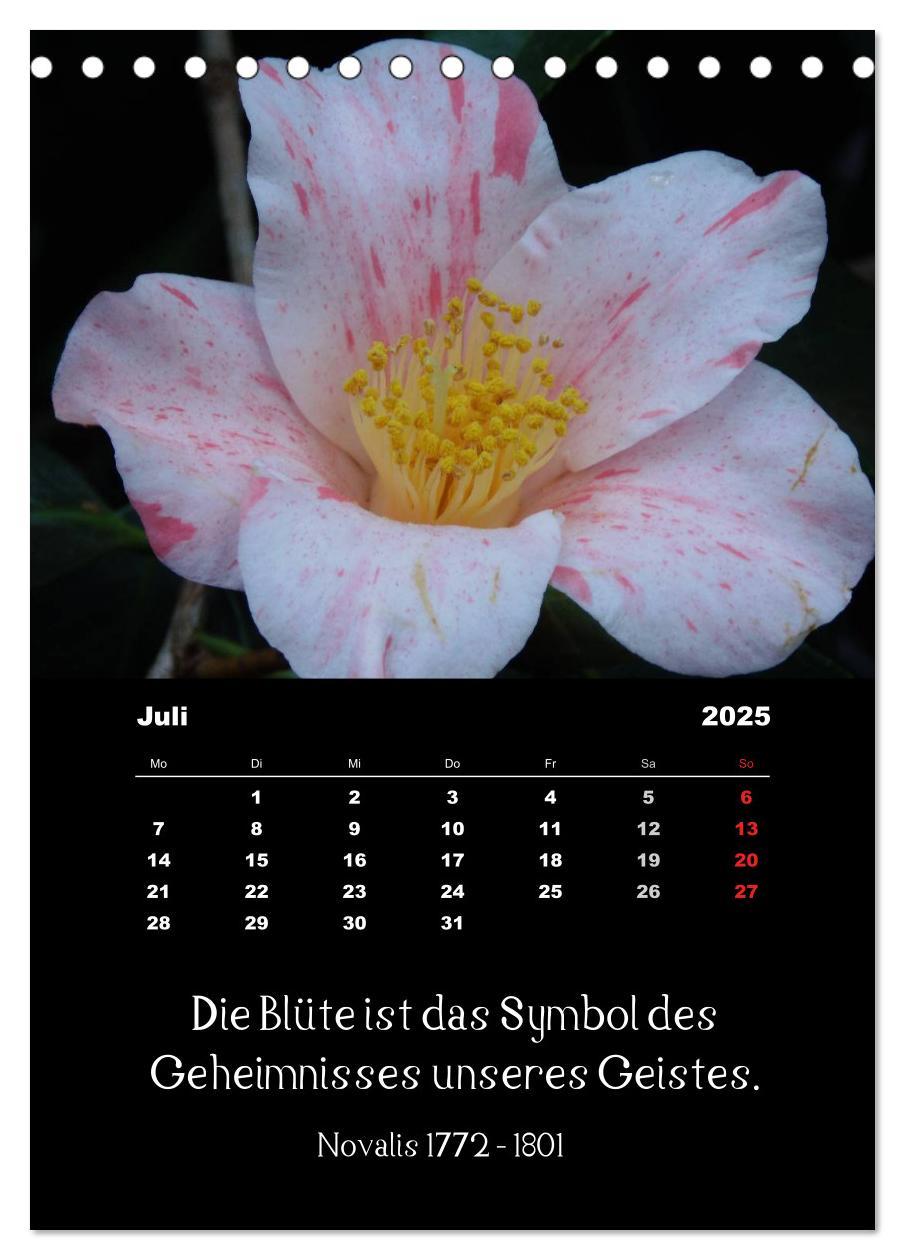 Bild: 9783457085660 | Sprüche und Zitate berühmter Personen über Blumen und Natur...