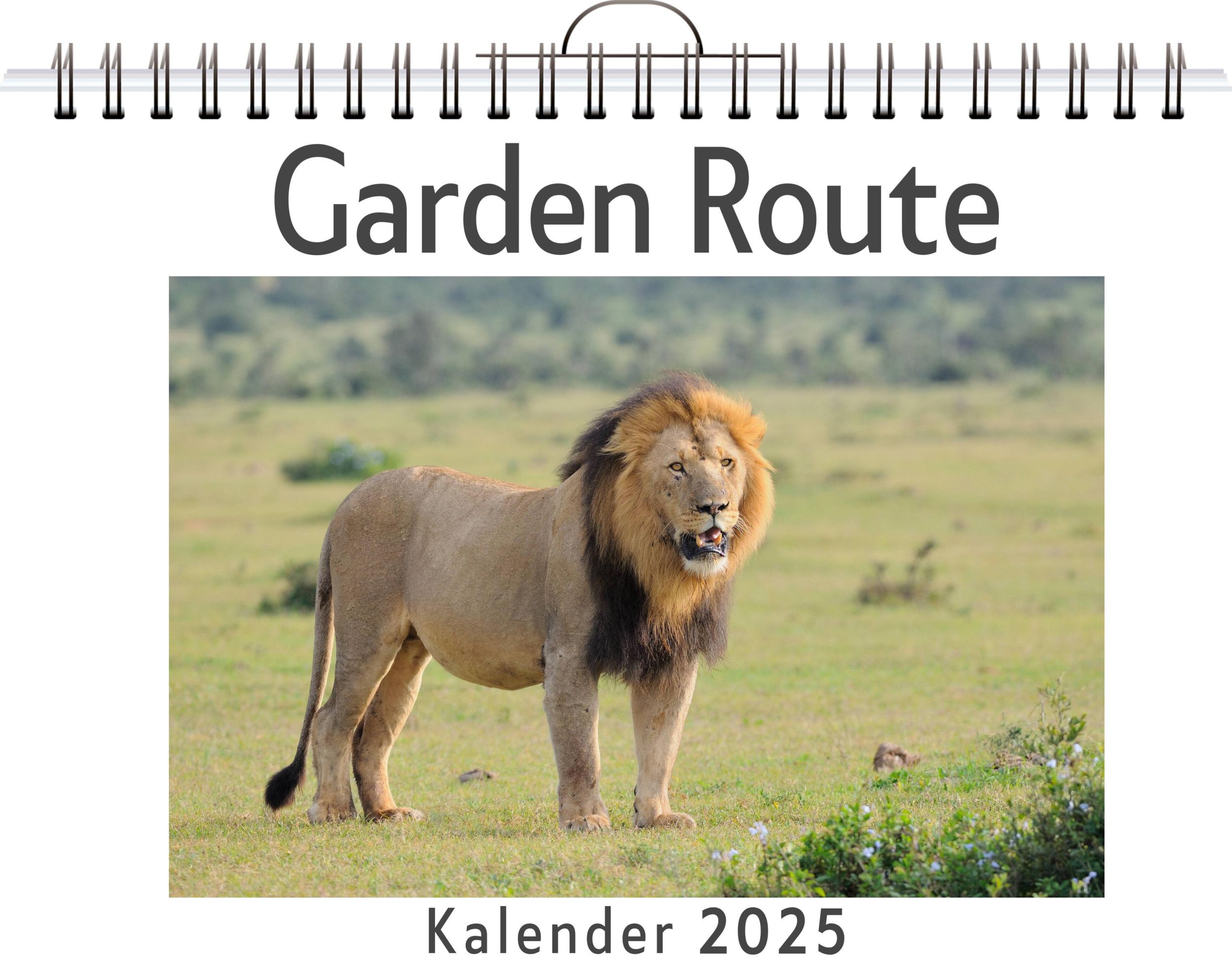 Cover: 9783759130006 | Garden Route | Laura Schäfer | Kalender | Kalender | 14 S. | Deutsch