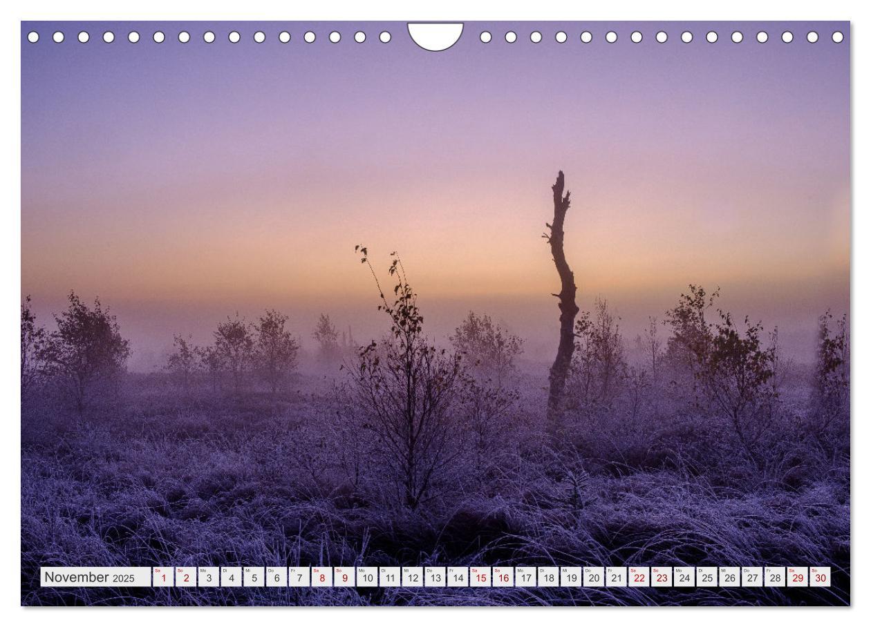 Bild: 9783383957635 | Traumlandschaft Hohes Venn (Wandkalender 2025 DIN A4 quer),...