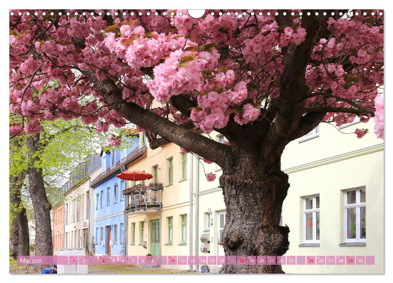 Bild: 9783435086306 | Werder (Havel) - Die Altstadtinsel (Wandkalender 2025 DIN A3 quer),...