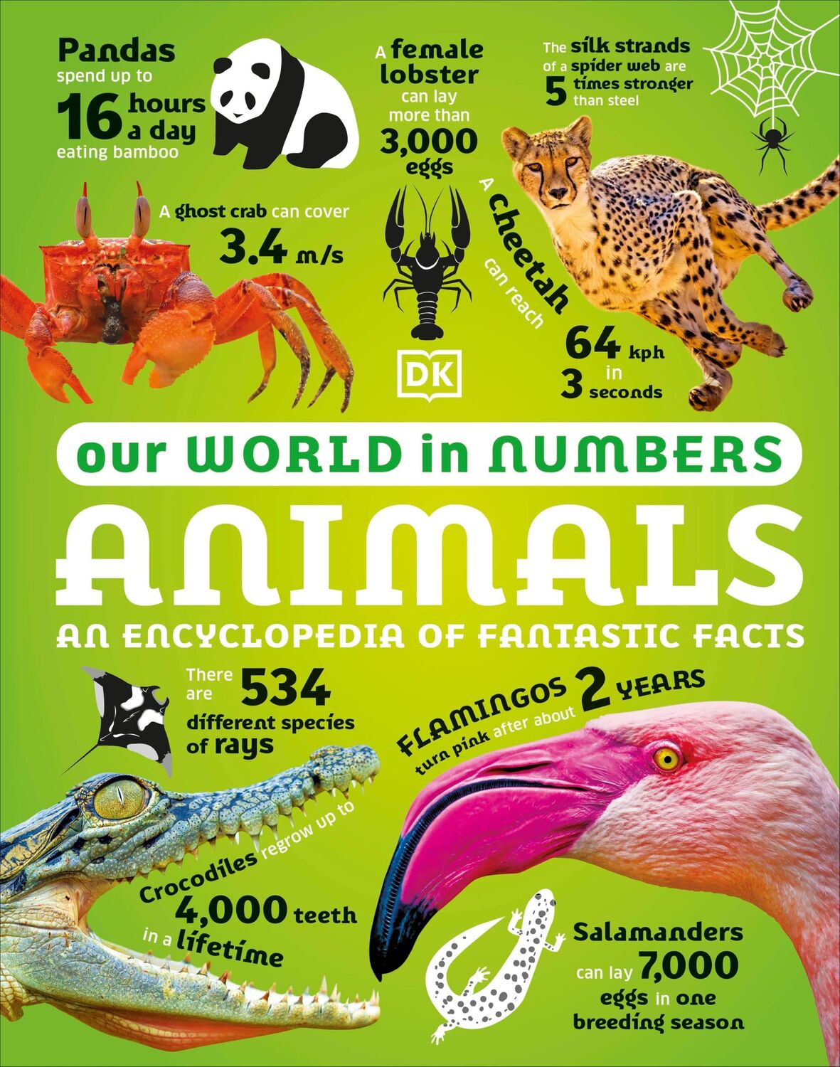 Cover: 9780241569795 | Our World in Numbers Animals | An Encyclopedia of Fantastic Facts | Dk