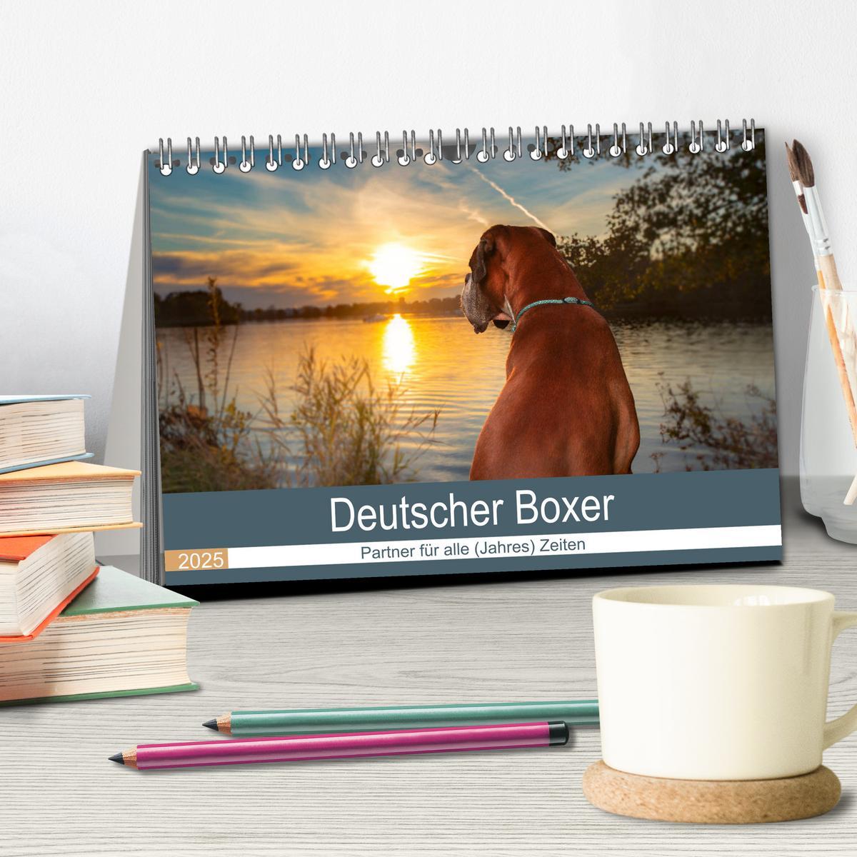 Bild: 9783435159253 | Deutscher Boxer (Tischkalender 2025 DIN A5 quer), CALVENDO...