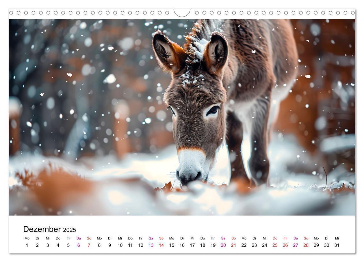 Bild: 9783457215197 | Esel - neugierige Typen (Wandkalender 2025 DIN A3 quer), CALVENDO...