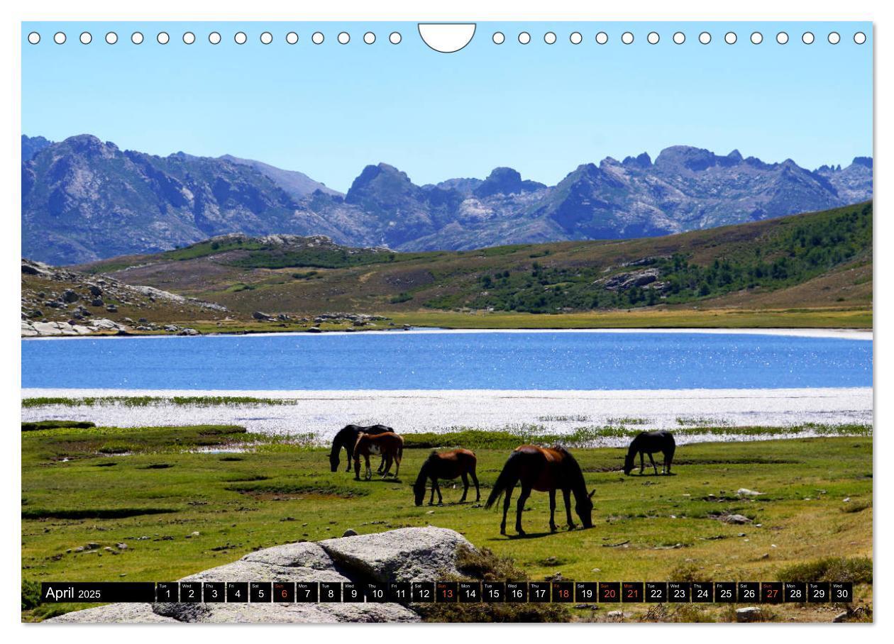 Bild: 9781325946037 | Corsica's wild GR20 (Wall Calendar 2025 DIN A4 landscape), CALVENDO...