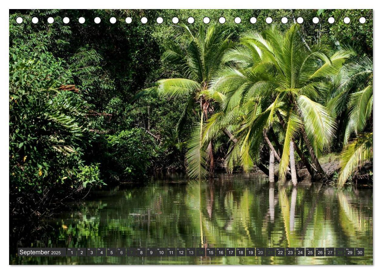 Bild: 9783435656127 | COSTA RICA - PURA VIDA (Tischkalender 2025 DIN A5 quer), CALVENDO...