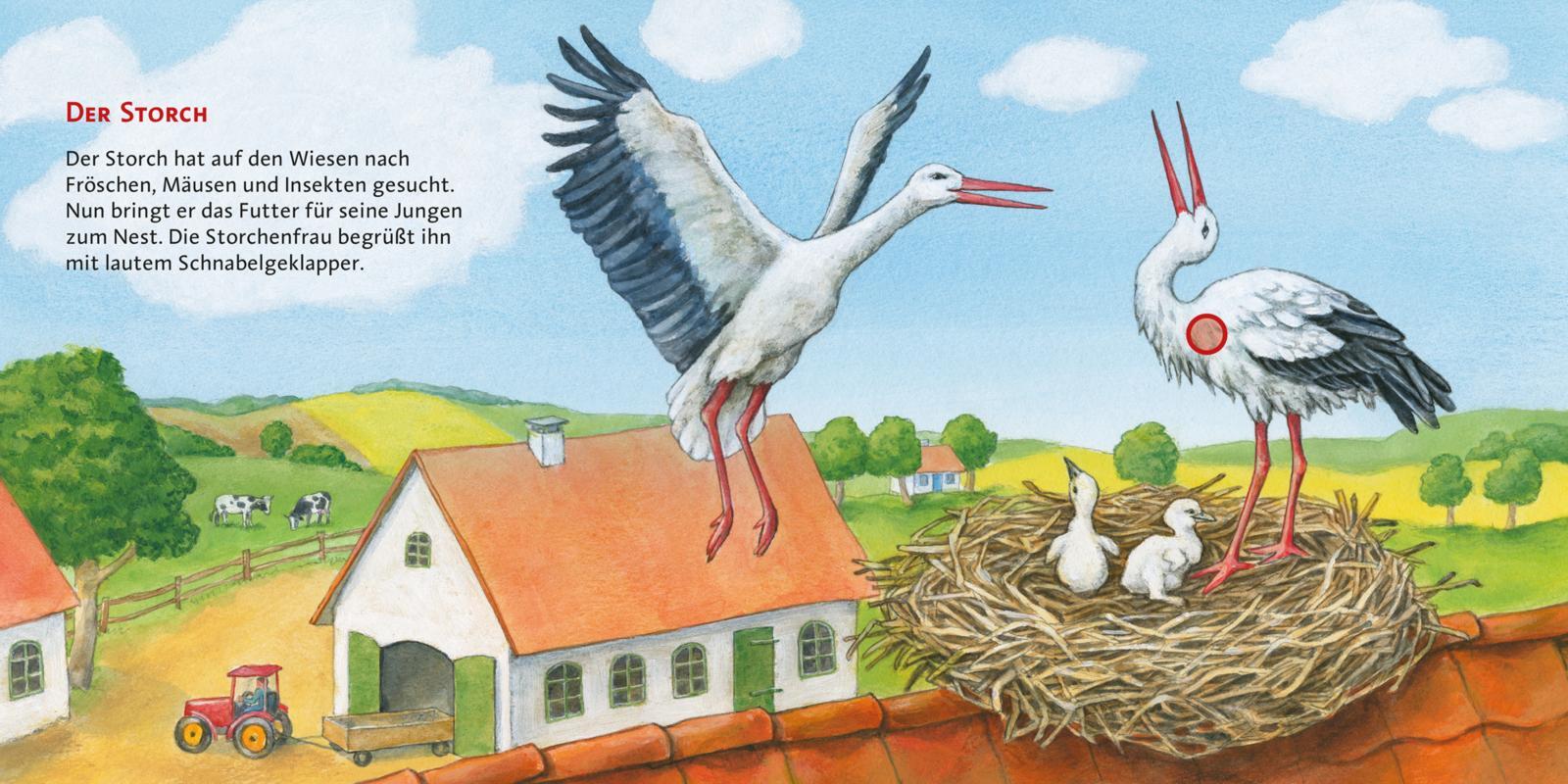 Bild: 9783551250087 | Hör mal (Soundbuch): Unsere Vögel | Anne Möller | Buch | Unzerr.