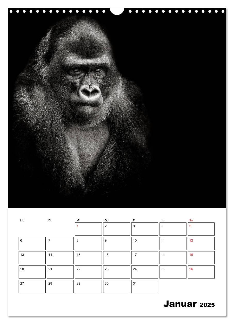 Bild: 9783457013199 | Charakterköpfe aus der Welt der Tiere (Wandkalender 2025 DIN A3...