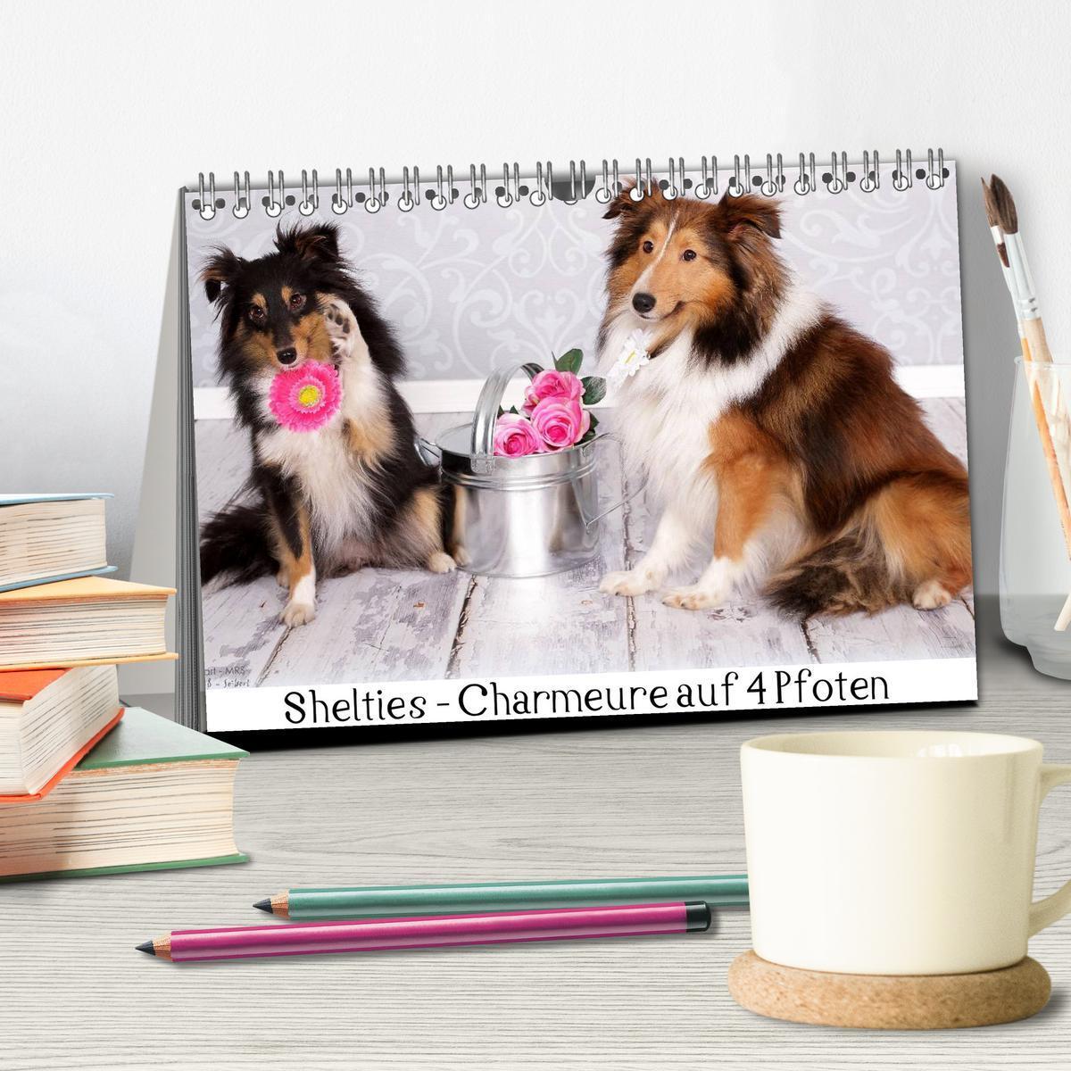 Bild: 9783435709786 | Shelties : Charmeure auf 4 Pfoten (Tischkalender 2025 DIN A5 quer),...