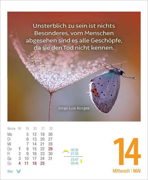 Bild: 9783731877356 | Lebensweisheiten 2025 | Verlag Korsch | Kalender | 328 S. | Deutsch