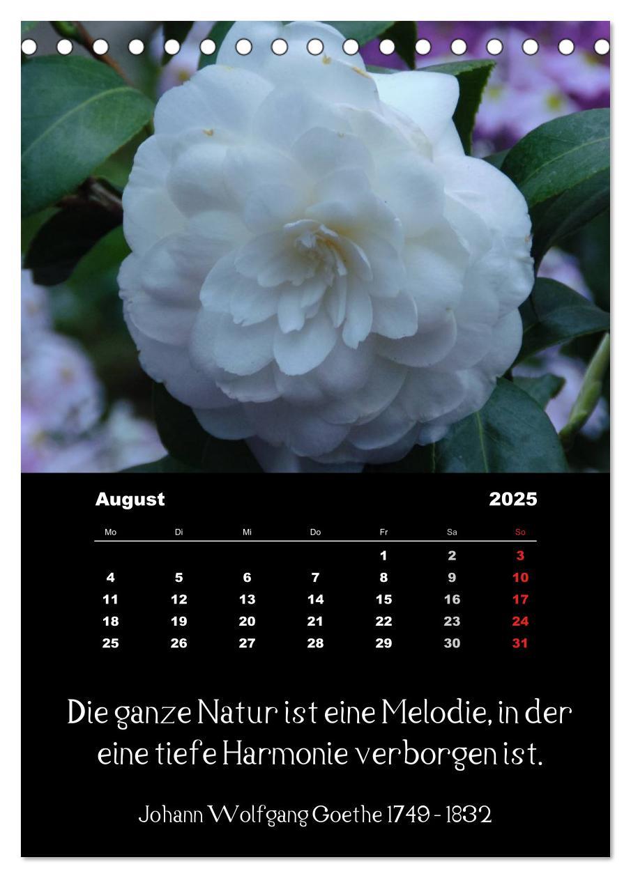 Bild: 9783457085660 | Sprüche und Zitate berühmter Personen über Blumen und Natur...