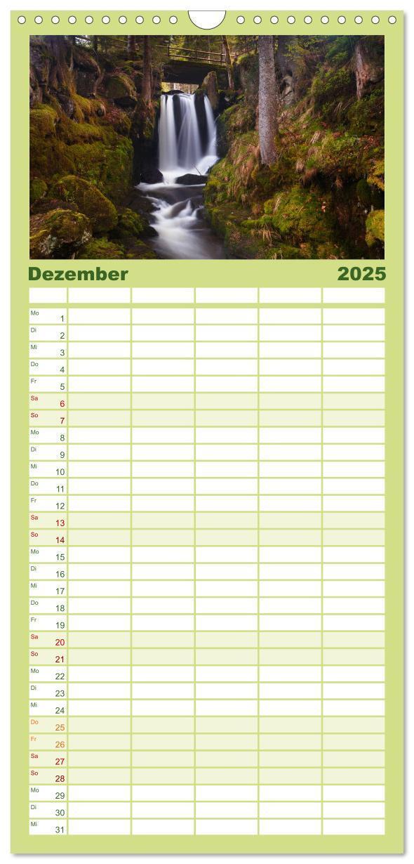 Bild: 9783457120286 | Familienplaner 2025 - Farben der Natur mit 5 Spalten (Wandkalender,...