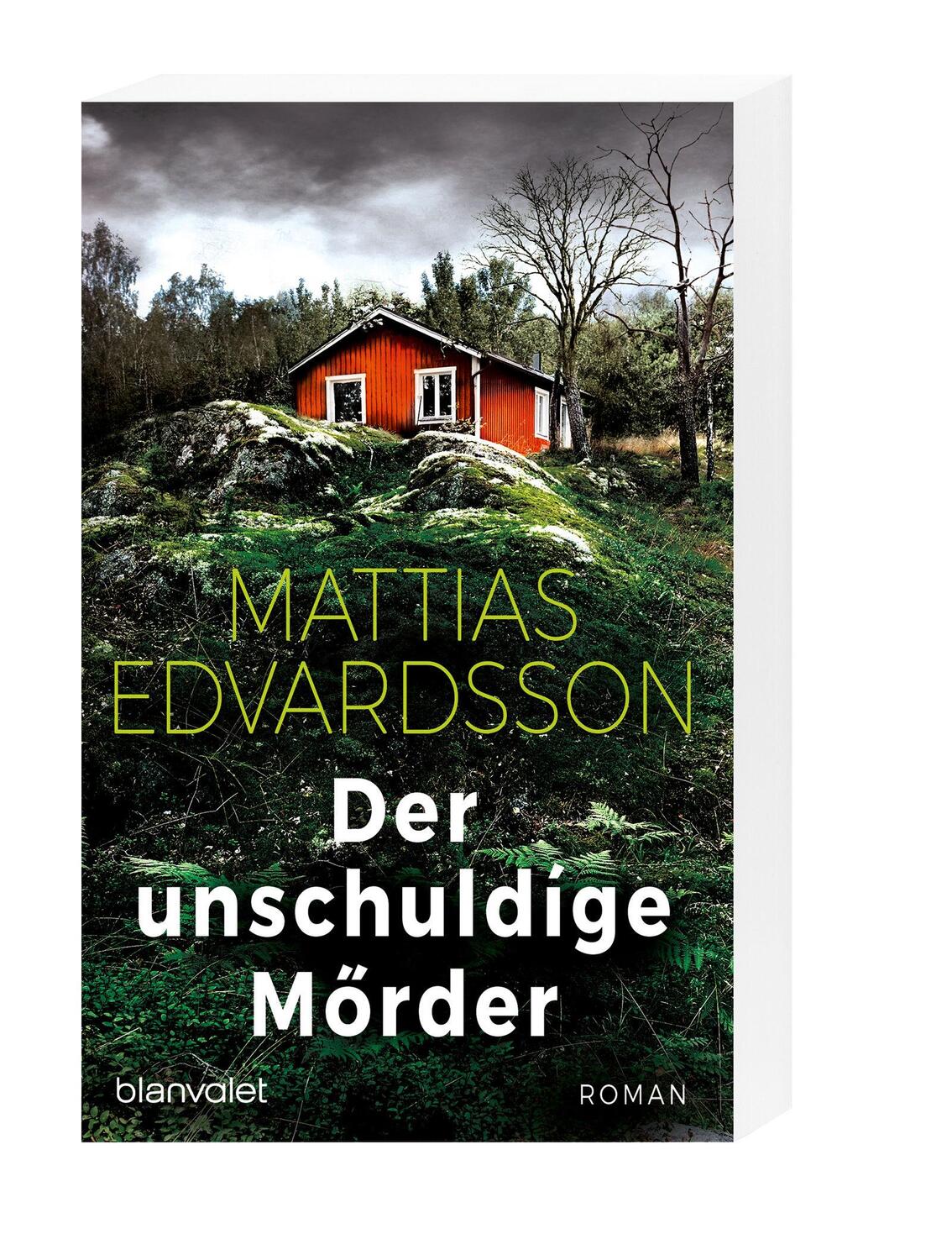 Bild: 9783734110092 | Der unschuldige Mörder | Roman | Mattias Edvardsson | Taschenbuch