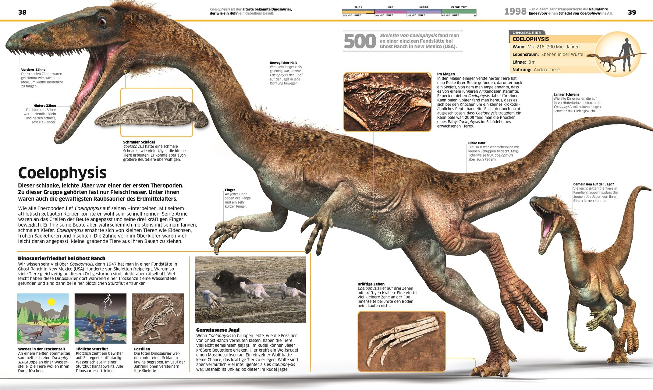 Bild: 9783831040063 | DK Wissen. Dinosaurier | Die Urzeitriesen in spektakulären Bildern