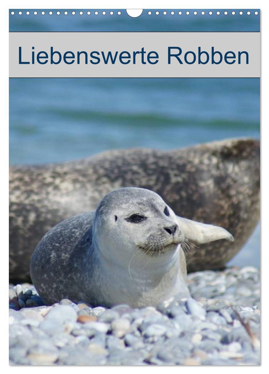 Cover: 9783457010518 | Liebenswerte Robben (Wandkalender 2025 DIN A3 hoch), CALVENDO...