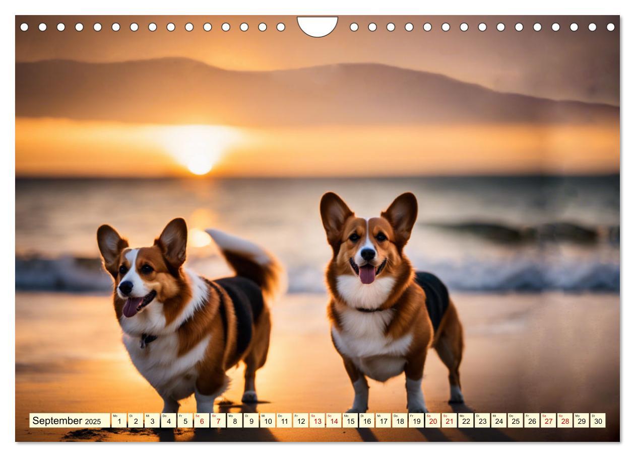 Bild: 9783435241026 | Welsh Corgi Pembroke (Wandkalender 2025 DIN A4 quer), CALVENDO...