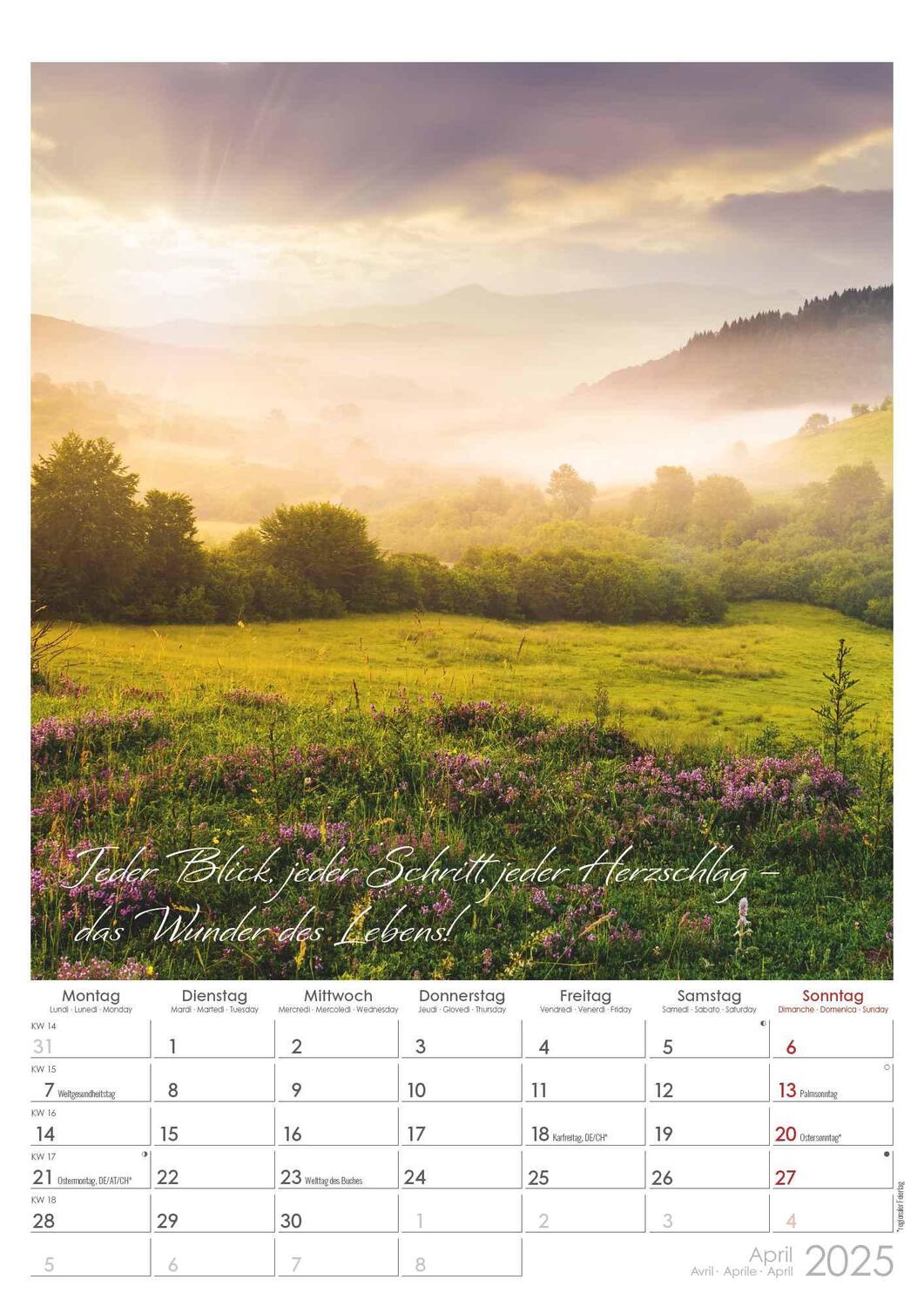 Bild: 4251732343491 | Auszeit für die Seele 2025 - Bildkalender A3 (29,7x42 cm) -...