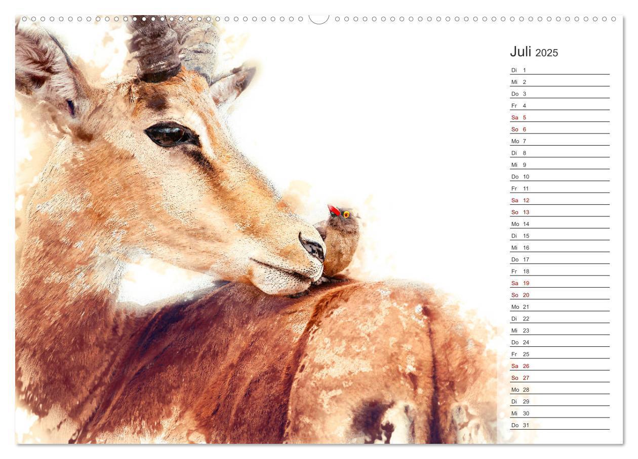 Bild: 9783435403387 | Tierportraits - Fine Art (Wandkalender 2025 DIN A2 quer), CALVENDO...