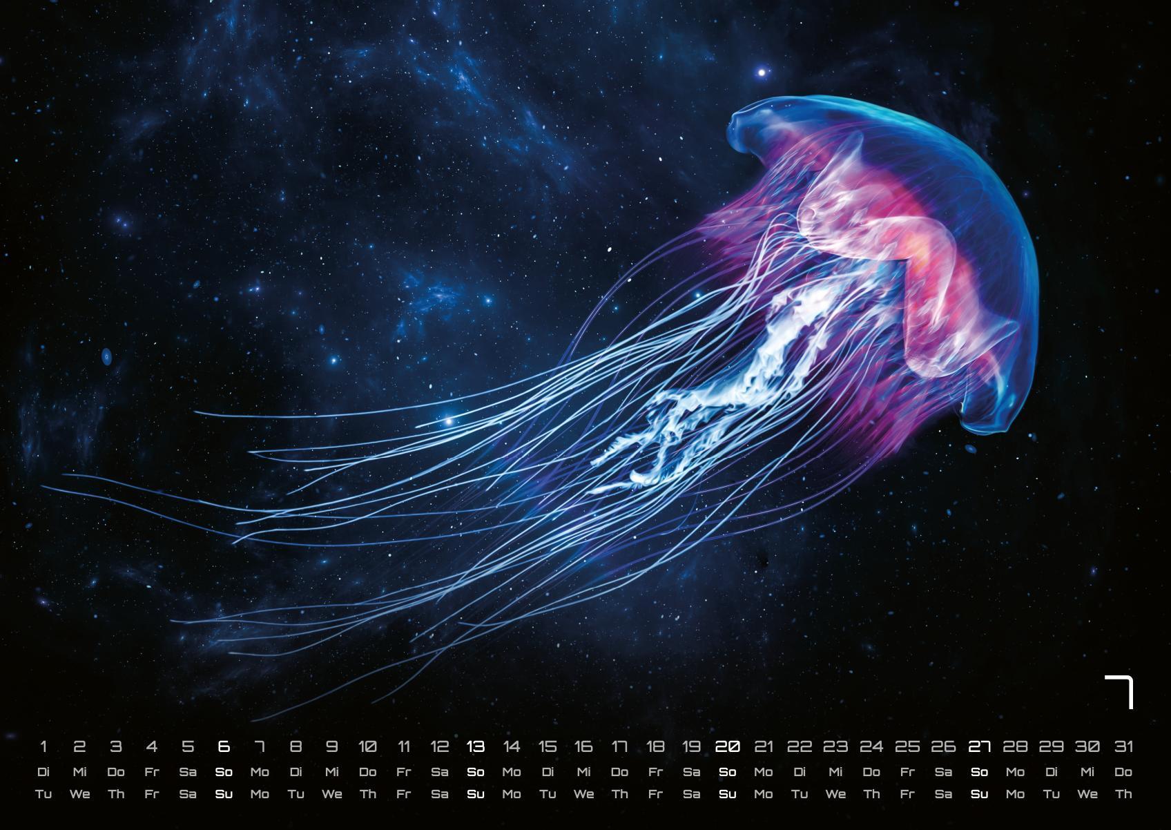 Bild: 9783986734299 | Sealife - verborgene Tiefen - 2025 - Kalender DIN A2 | GP-Fever. de