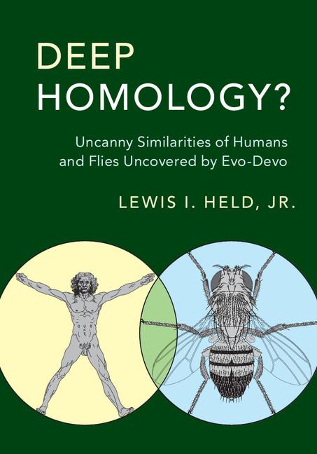 Cover: 9781107147188 | Deep Homology? | Jr Lewis I. Held | Buch | Englisch | 2017