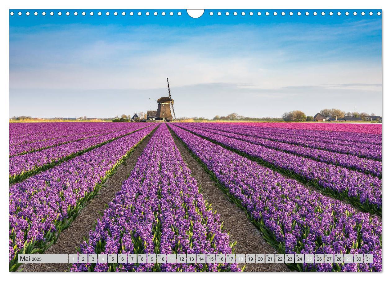 Bild: 9783435116539 | Wunderschöne Niederlande (Wandkalender 2025 DIN A3 quer), CALVENDO...