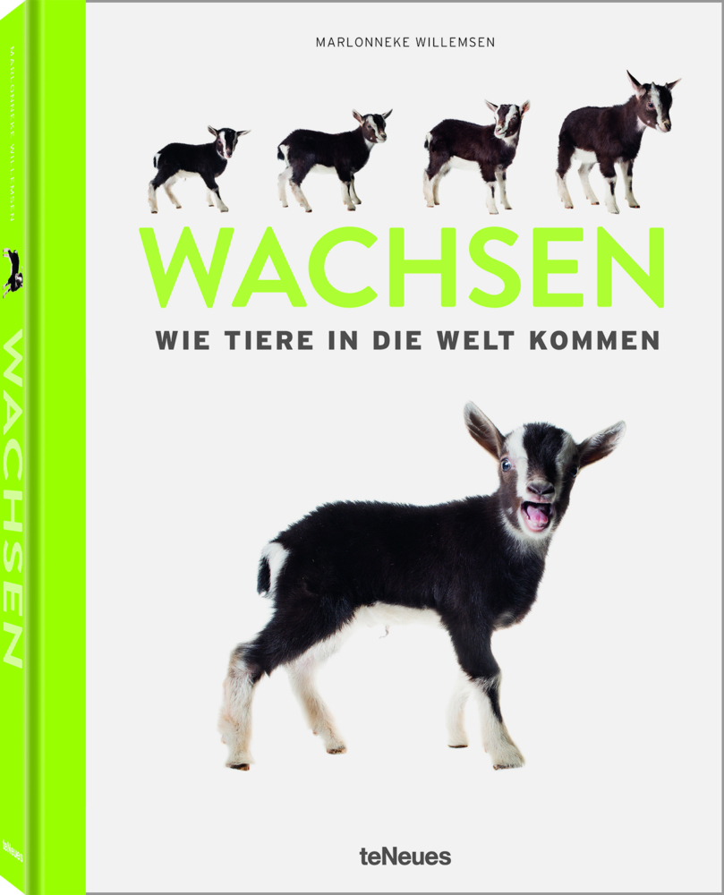 Cover: 9783961713356 | Wachsen | Marlonneke Willemsen | Buch | 192 S. | Deutsch | 2021