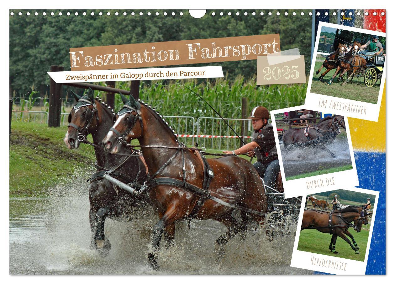 Cover: 9783383964602 | Faszination Fahrsport - Zweispänner im Galopp durch den Parcour...