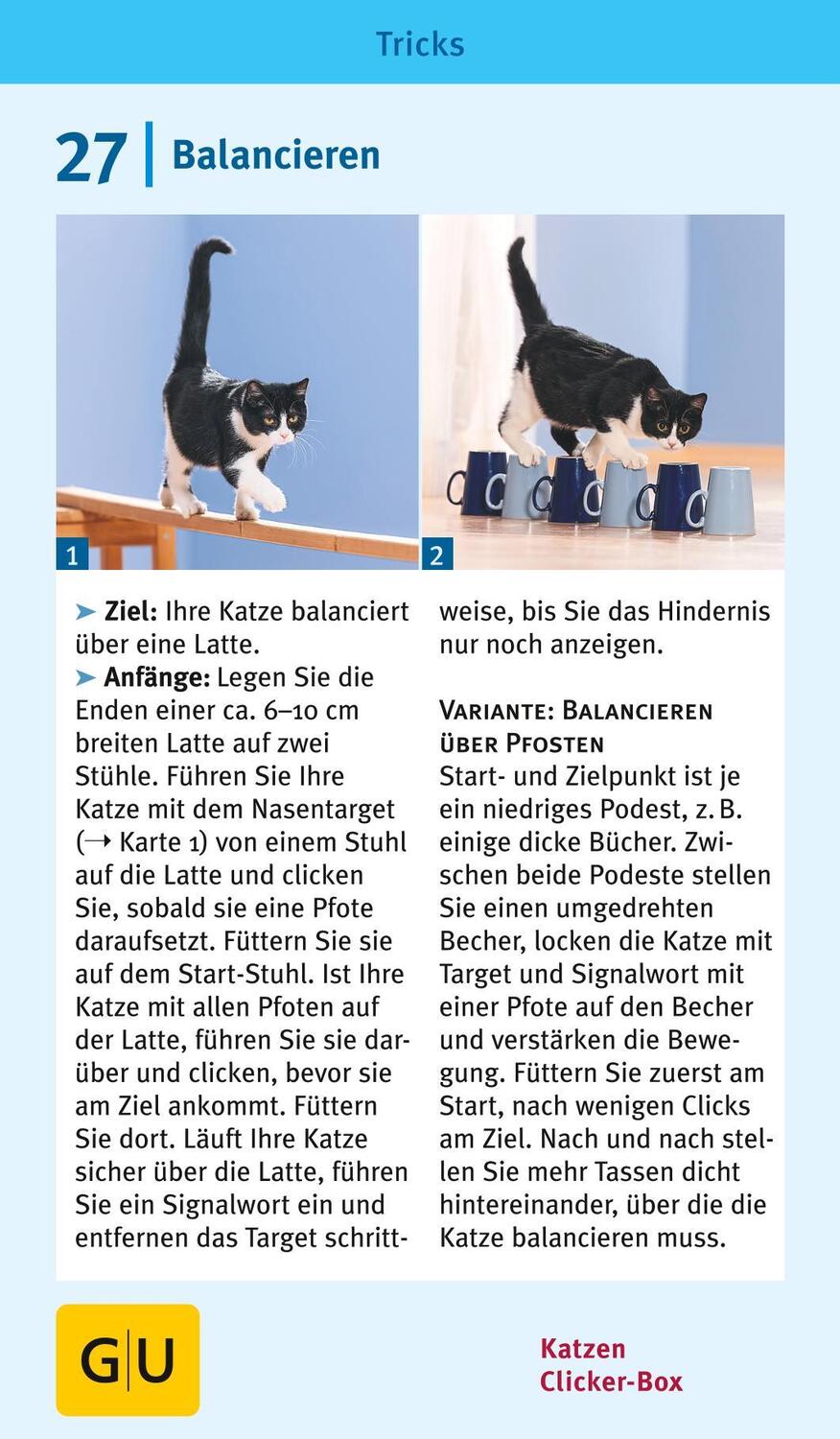 Bild: 9783833835926 | Katzen-Clicker-Box | Plus Clicker für sofortigen Spielspaß | Rödder