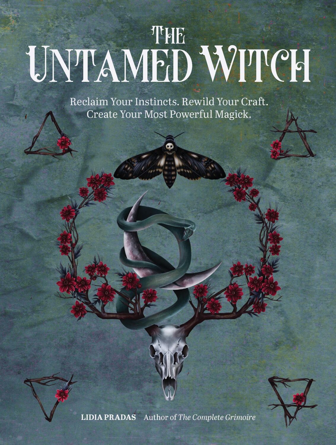 Cover: 9780760376638 | The Untamed Witch | Lidia Pradas | Taschenbuch | Englisch | 2022