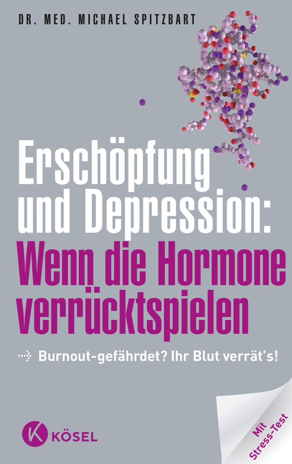 Cover: 9783466309535 | Erschöpfung und Depression: Wenn die Hormone verrücktspielen | Buch