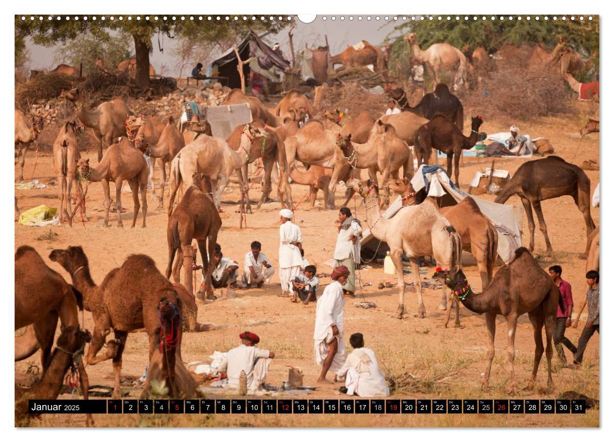 Bild: 9783435626779 | Rajasthan, Indien - Pushkar Mela (Wandkalender 2025 DIN A2 quer),...