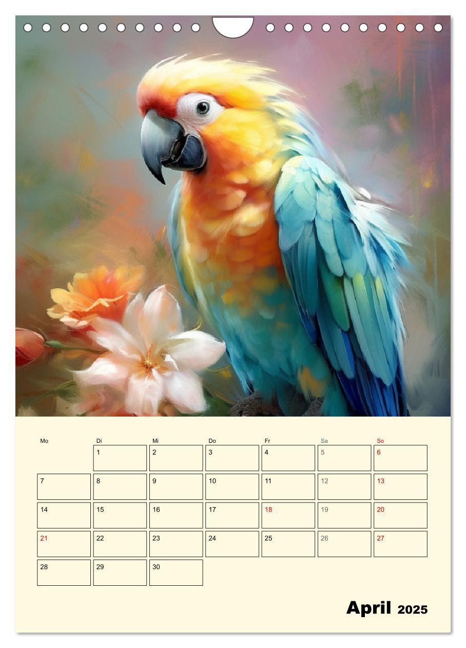 Bild: 9783435864904 | Bunte Vögel. Bezaubernde Papageien-Aquarelle (Wandkalender 2025 DIN...