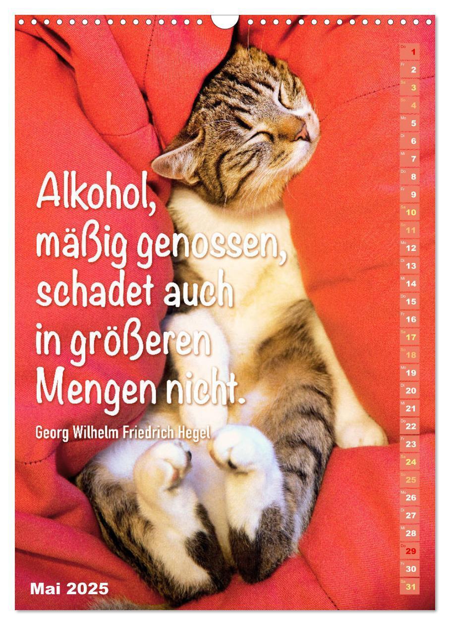 Bild: 9783435940172 | Der literarische Katerkalender (Wandkalender 2025 DIN A3 hoch),...