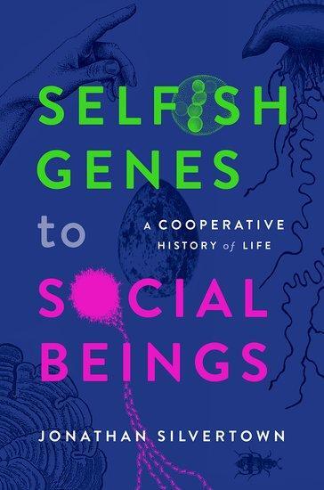 Cover: 9780198876397 | Selfish Genes to Social Beings | A Cooperative History of Life | Buch