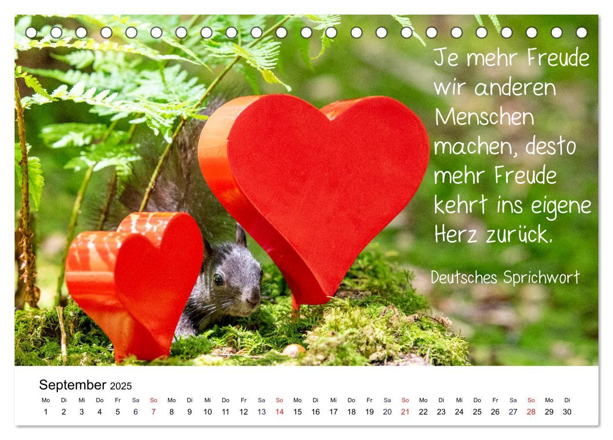 Bild: 9783435433247 | Der literarische Eichhörnchen-Kalender (Tischkalender 2025 DIN A5...