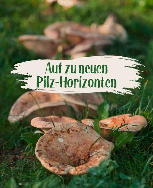 Bild: 9783966641746 | Essbare Schätze aus der Natur: Erkennen - Sammeln - Zubereiten | Buch