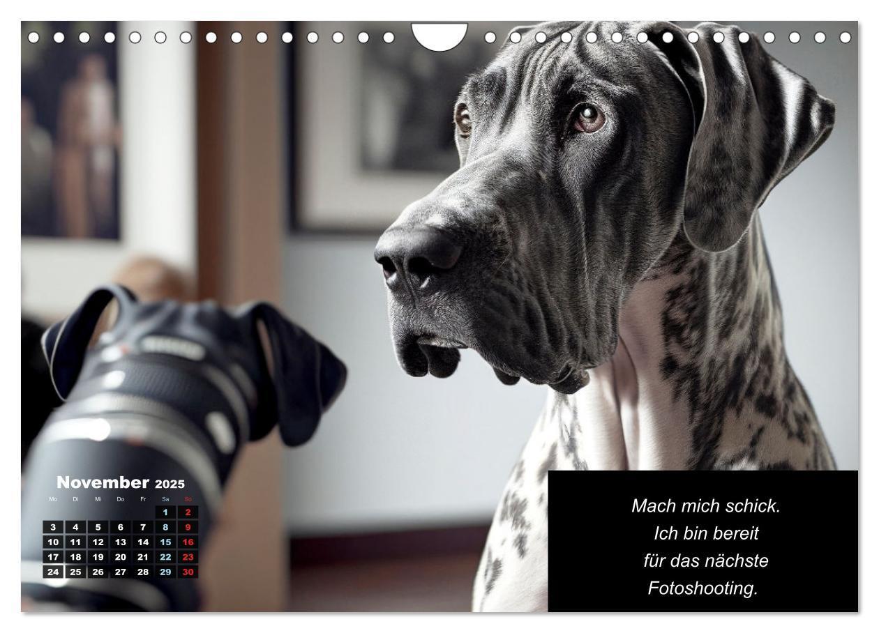 Bild: 9783435722471 | Der humoristische Dogge Kalender (Wandkalender 2025 DIN A4 quer),...