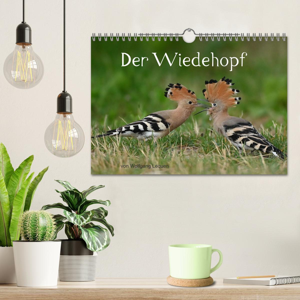 Bild: 9783435003532 | Der Wiedehopf (Wandkalender 2025 DIN A4 quer), CALVENDO Monatskalender