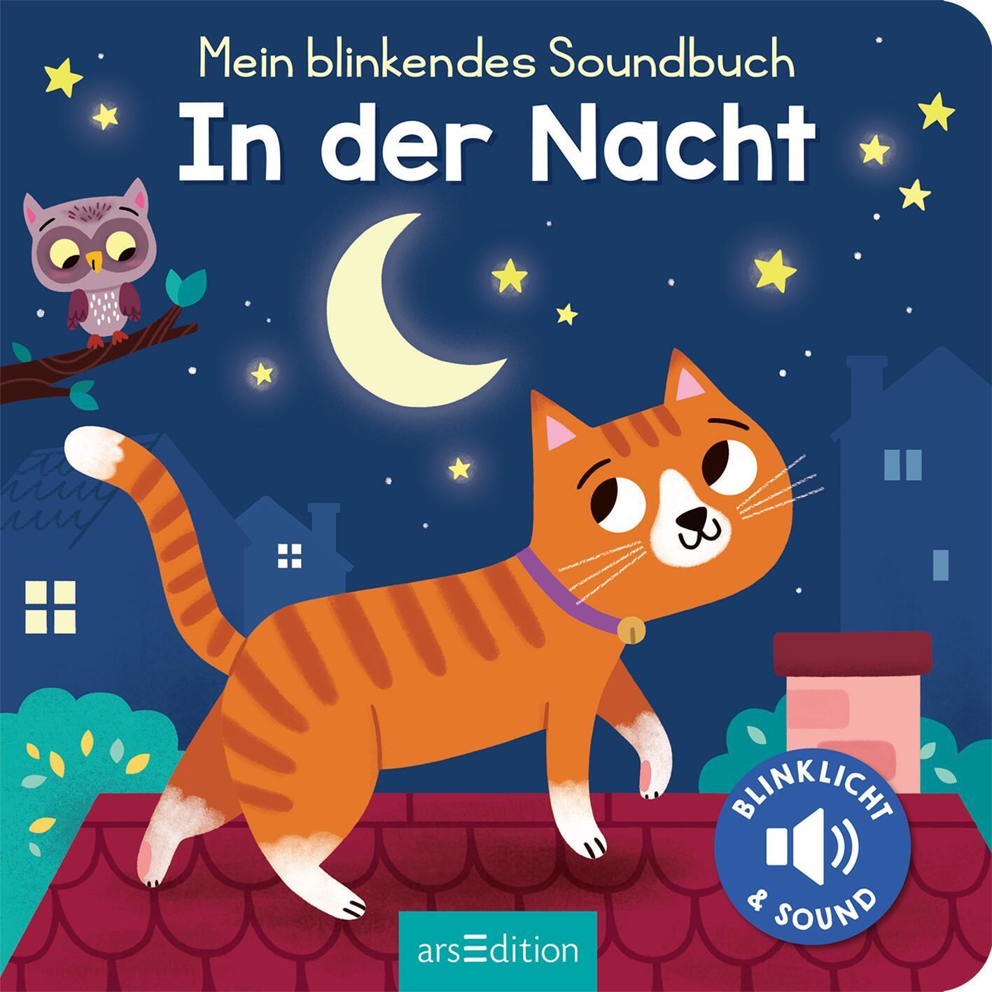 Bild: 9783845852447 | Mein blinkendes Soundbuch - In der Nacht | Sound mit 1 LED | Buch