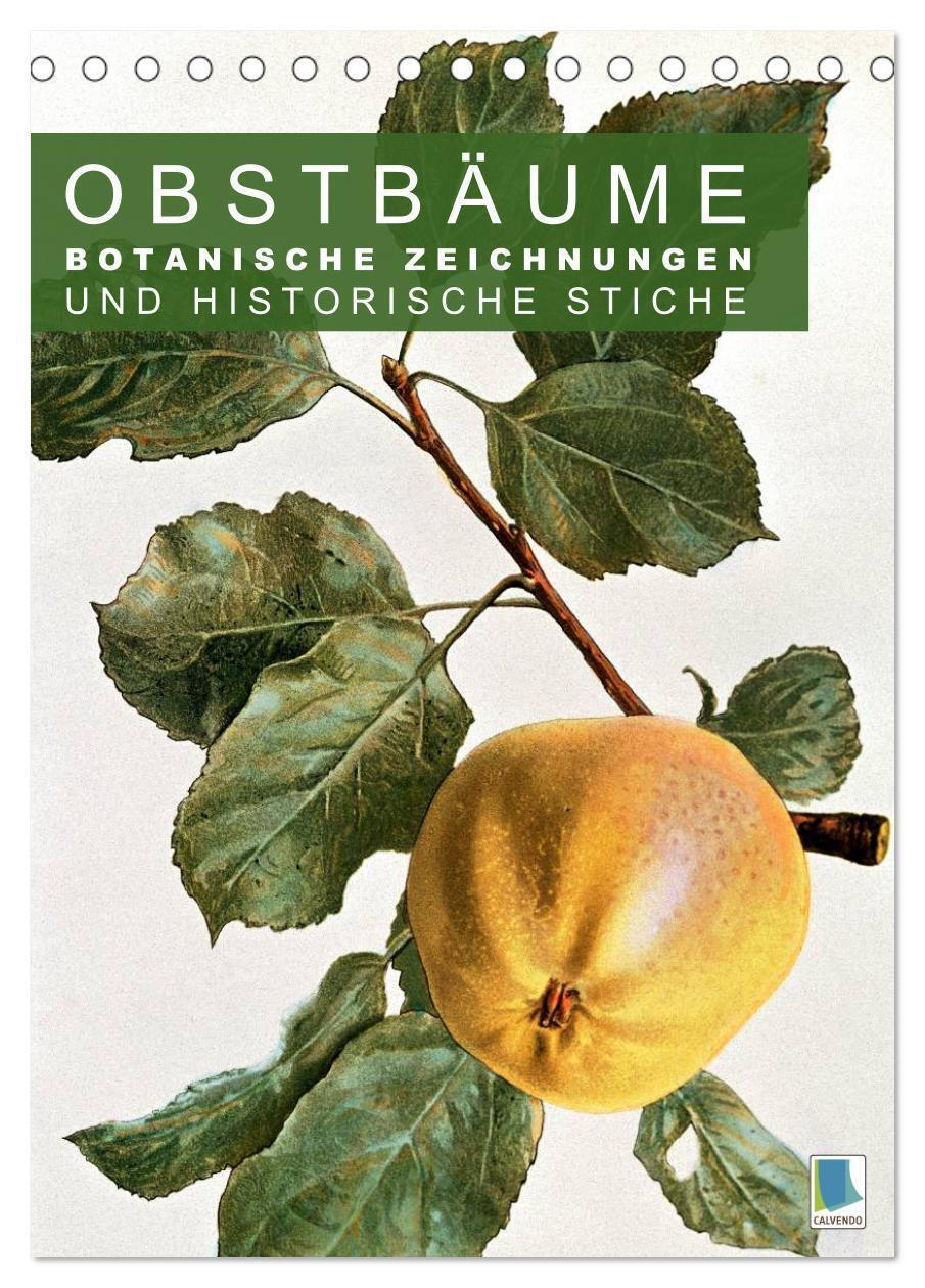 Cover: 9783457045695 | Obstbäume: Botanische Zeichnungen und historische Stiche...