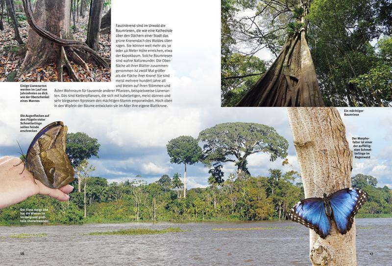 Bild: 9783866592544 | Entdecke den Amazonas-Regenwald | Lothar Staeck | Taschenbuch | 64 S.