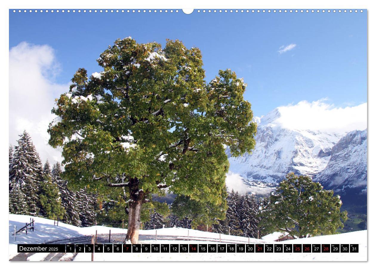 Bild: 9783435265886 | Berge im Berner Oberland (hochwertiger Premium Wandkalender 2025...