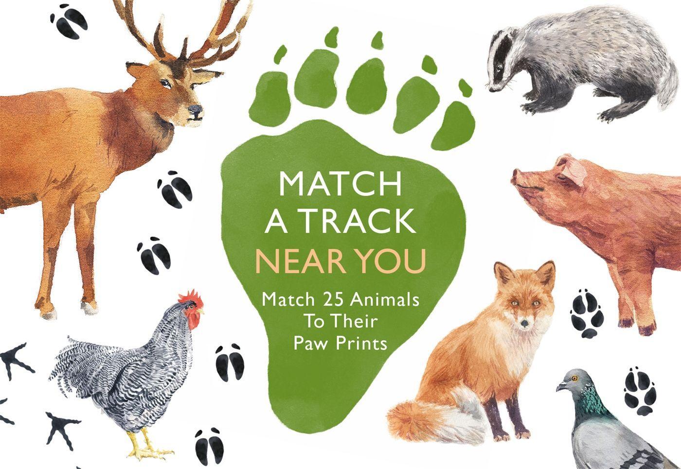 Cover: 9780857829511 | Match a Track Near You | Match 25 Animals to Their Paw Prints | George